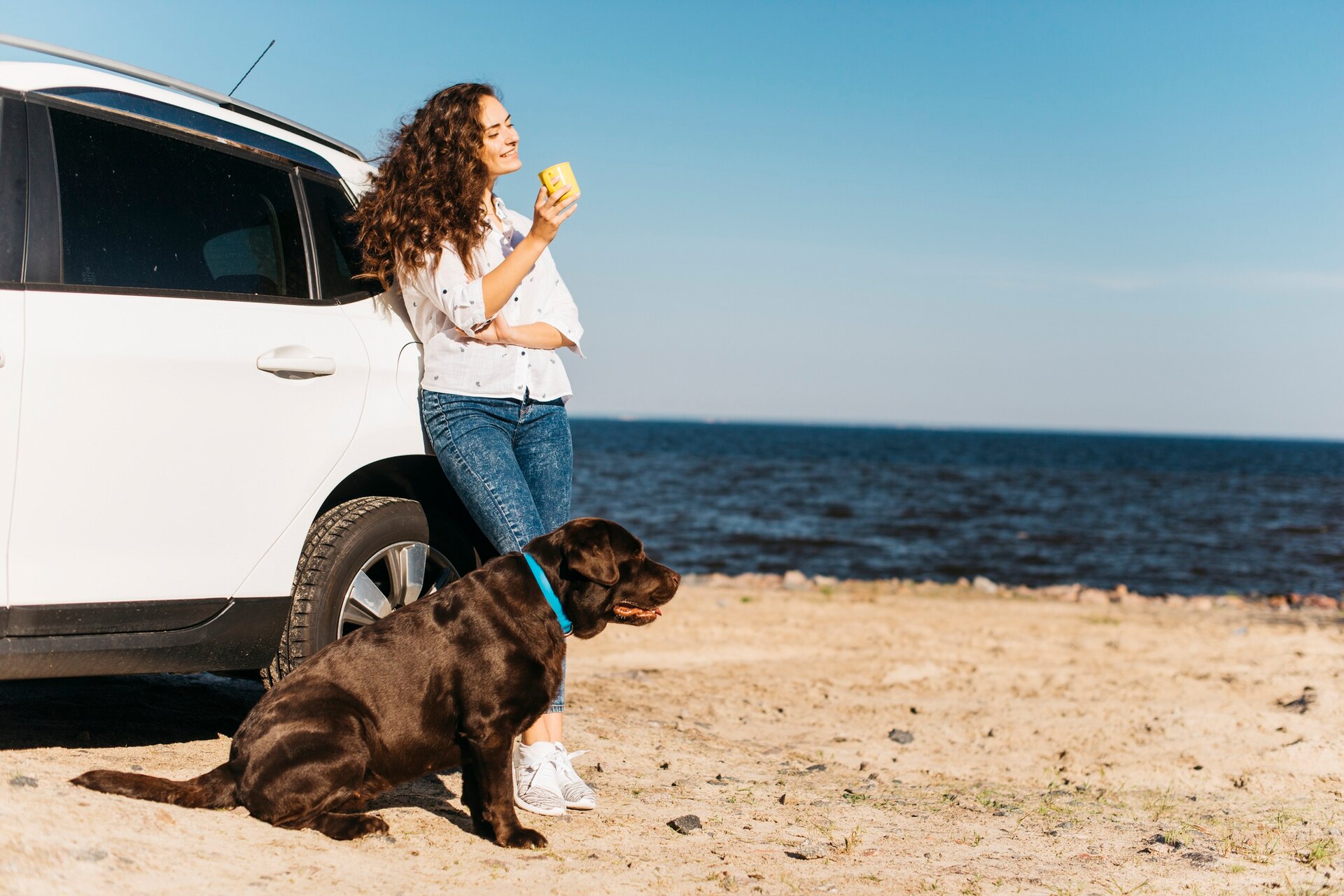 Traveling with Pets