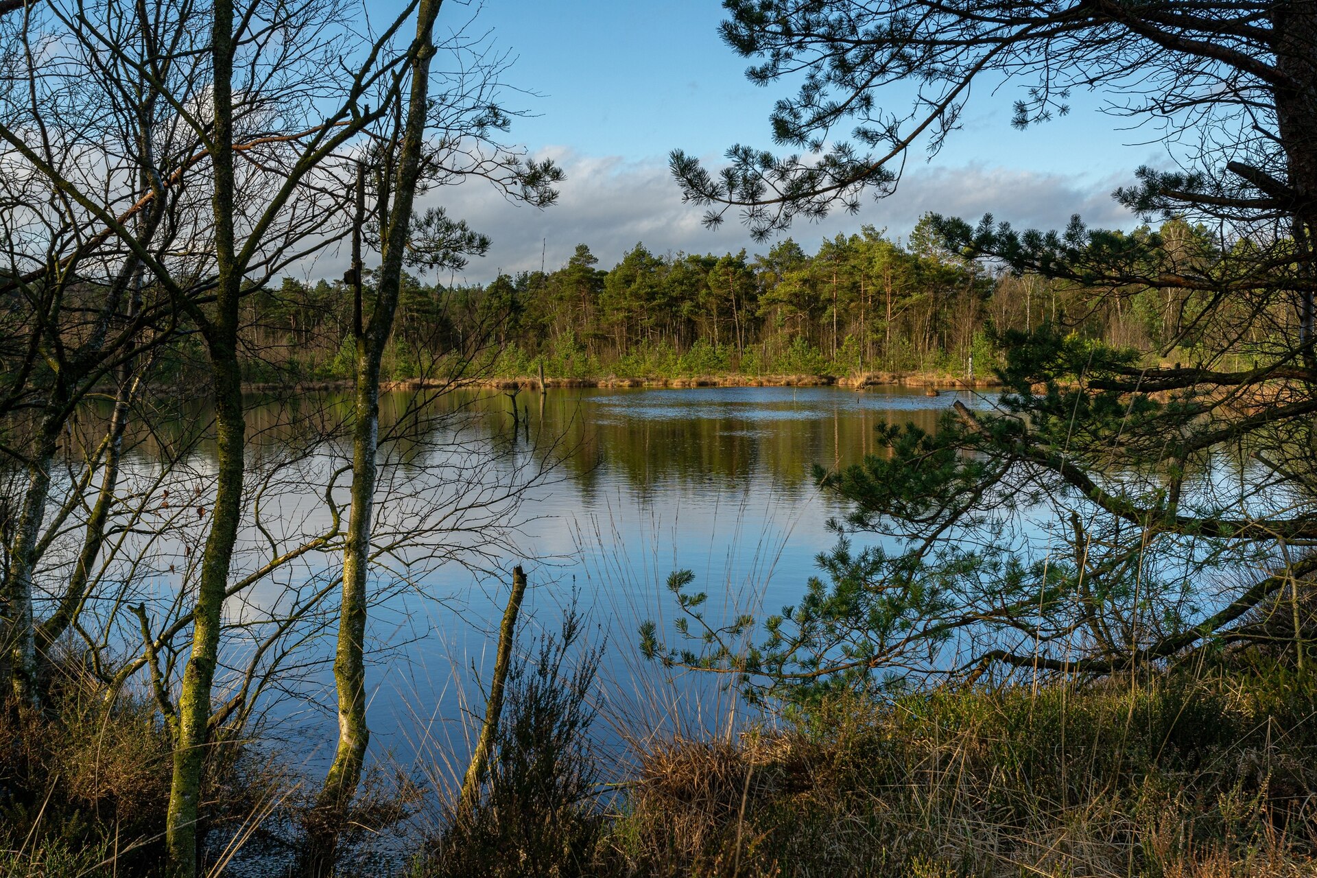 Three Lakes Wildlife Management Area