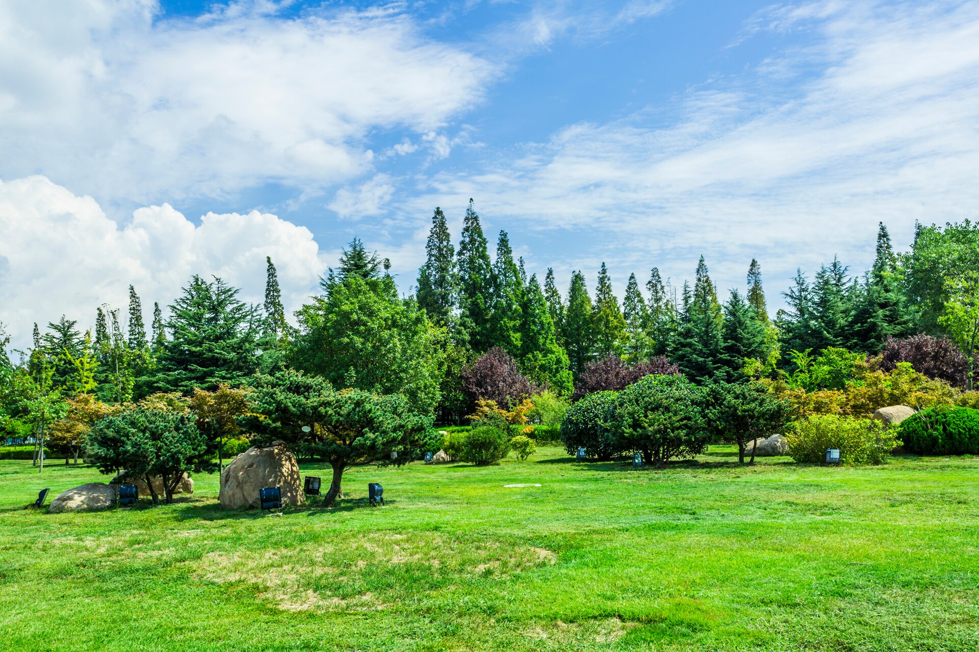 Evergreen Landscaping